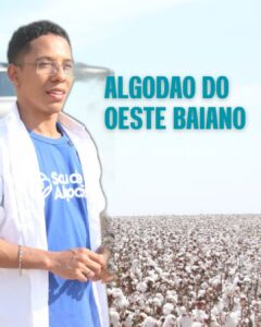 Algodão do Oeste Baiano: A fibra que conquistou o mundo